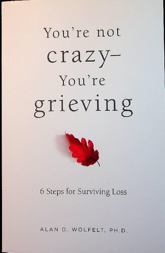 You're not Crazy, You're are Grieving, 6 Steps for Surviving Loss PDF