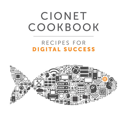 CIONET Cookbook: Recipes for Digital Success