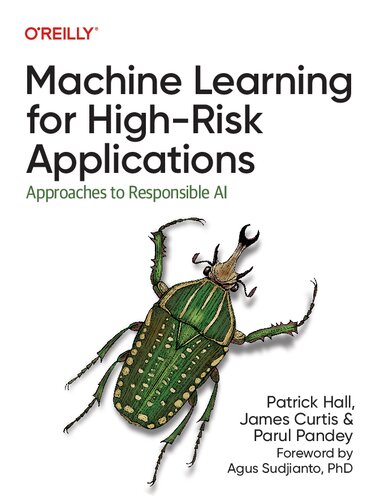 Machine Learning for High-Risk Applications: Approaches to Responsible AI