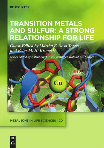 Transition Metals and Sulfur – A Strong Relationship for Life