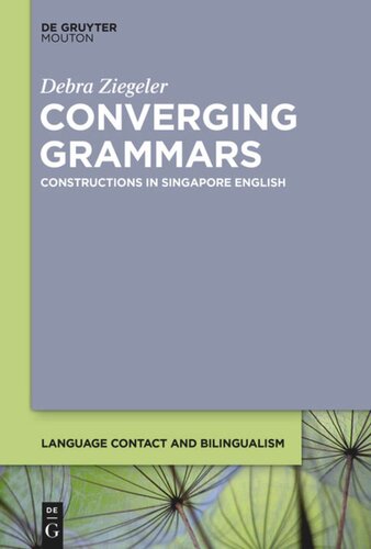 Converging Grammars: Constructions in Singapore English