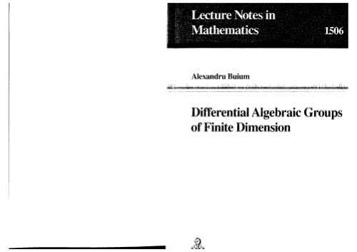 Differential Algebraic Groups of Finite Dimension