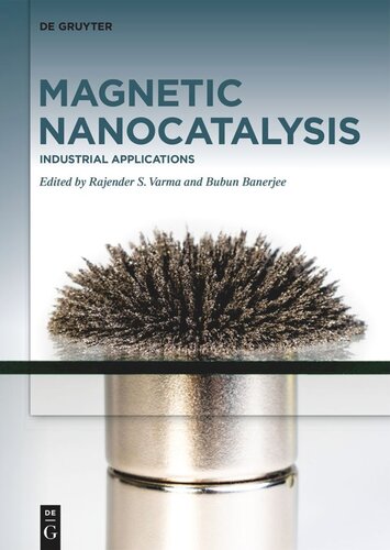 Magnetic Nanocatalysis: Volume 2 Industrial Applications