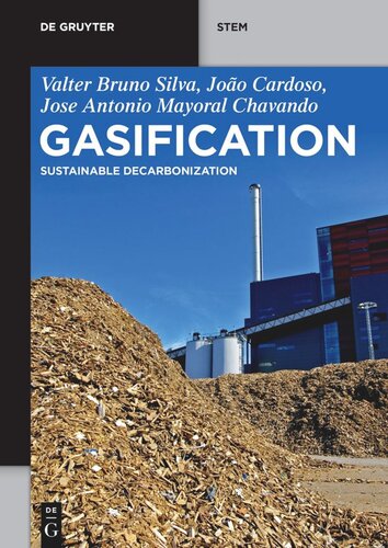 Gasification: Sustainable Decarbonization