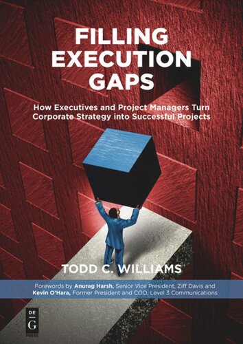 Filling Execution Gaps: How Executives and Project Managers Turn Corporate Strategy into Successful Projects