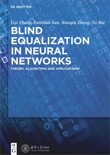 Blind Equalization in Neural Networks: Theory, Algorithms and Applications