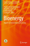 Bioenergy: Impacts on Environment and Economy