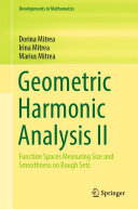 Geometric Harmonic Analysis II: Function Spaces Measuring Size and Smoothness on Rough Sets