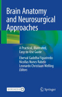 Brain Anatomy and Neurosurgical Approaches: A Practical, Illustrated, Easy-to-Use Guide