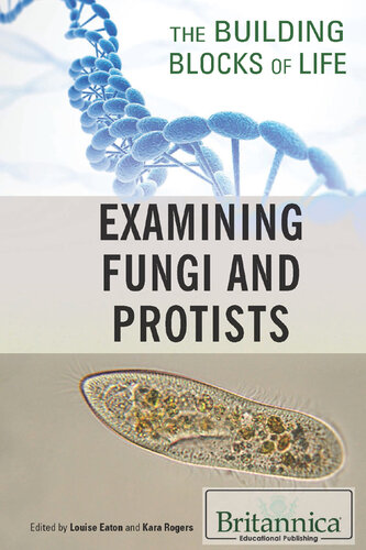 Examining Fungi and Protists