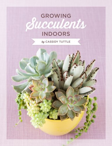 Growing Succulents Indoors