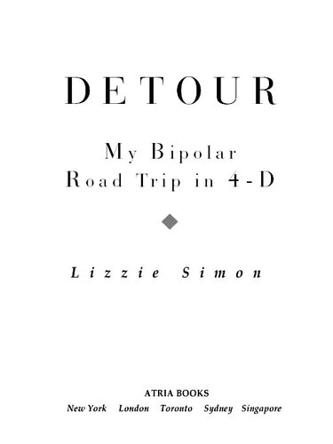 Detour: My Bipolar Road Trip in 4-D