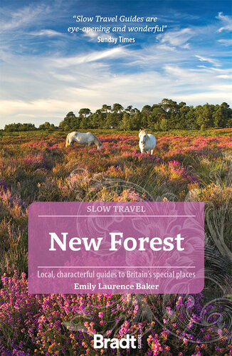 New Forest: Local, characterful guides to Britain’s special places