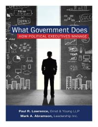 What Government Does : How Political Executives Manage