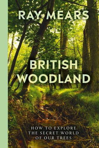 British Woodland: How to explore the secret world of our trees