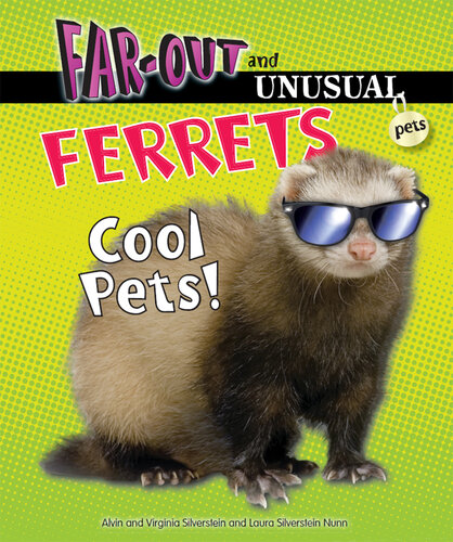 Ferrets: Cool Pets!