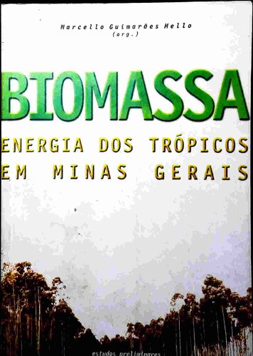 Biomassa: energia dos trópicos em Minas Gerais