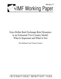 Euro-Dollar Real Exchange Rate Dynamics in an Estimated Two-Country Model : What Is Important and What Is Not