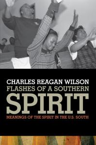 Flashes of a Southern Spirit : Meanings of the Spirit in the U.S. South