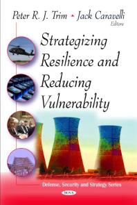 Strategizing Resilence and Reducing Vulnerability