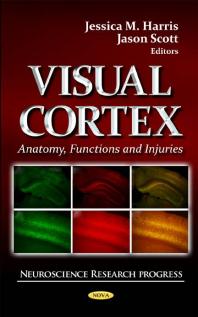 Visual Cortex: Anatomy, Functions and Injuries : Anatomy, Functions, and Injuries