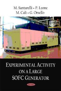 Experimental Activity on a Large SOFC Generator