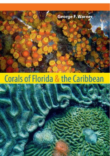 Corals of Florida and the Caribbean