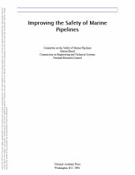 Improving the Safety of Marine Pipelines