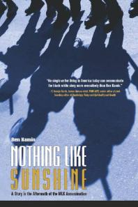 Nothing Like Sunshine : A Story in the Aftermath of the MLK Assassination