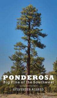 Ponderosa : Big Pine of the Southwest