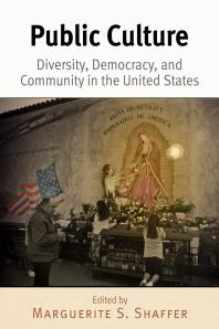 Public Culture : Diversity, Democracy, and Community in the United States