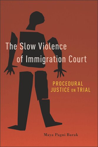 The Slow Violence of Immigration Court: Procedural Justice on Trial