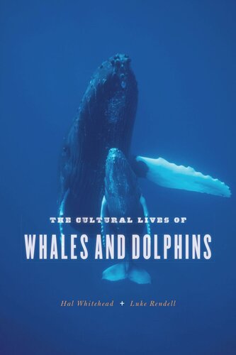 The Cultural Lives of Whales and Dolphins