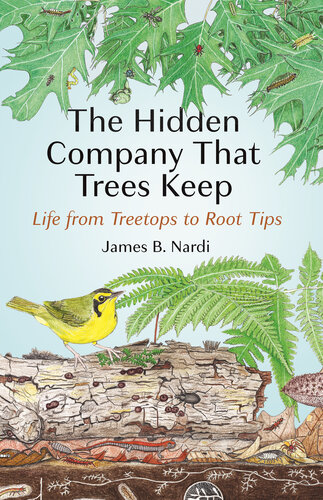 The Hidden Company That Trees Keep: Life from Treetops to Root Tips