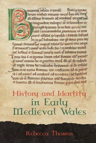 History and Identity in Early Medieval Wales (Studies in Celtic History Book 44)