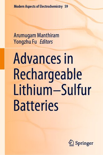 Advances in Rechargeable Lithium–Sulfur Batteries (Modern Aspects of Electrochemistry Book 59)