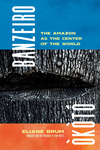 Banzeiro Òkòtó: The Amazon as the Center of the World