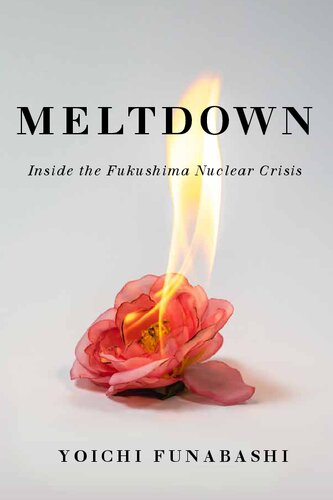 Meltdown: Inside the Fukushima Nuclear Crisis