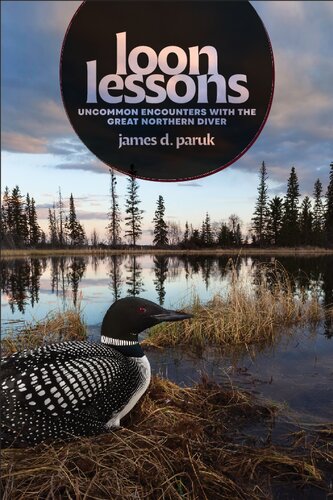 Loon Lessons: Uncommon Encounters with the Great Northern Diver