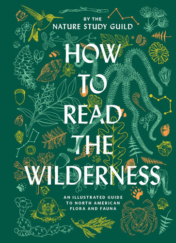 How to Read the Wilderness: An Illustrated Guide to North American Flora and Fauna