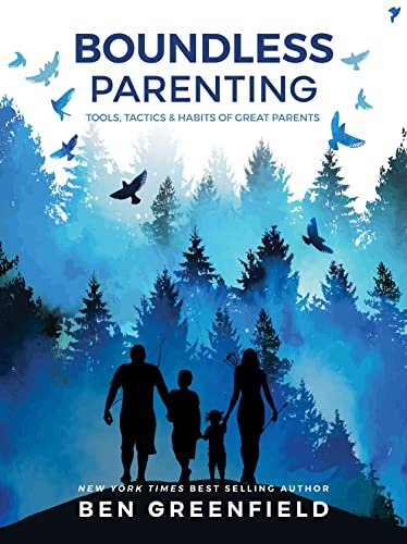 Boundless Parenting: Tools, Tactics & Habits of Great Parents