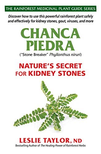 Chanca Piedra: Nature’s Secret for Kidney Stones