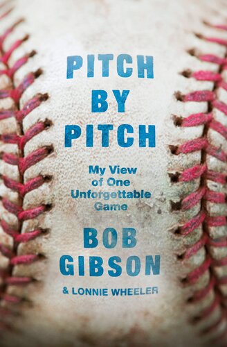 Pitch by Pitch: My View of One Unforgettable Game