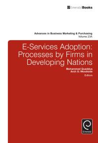 E-Services Adoption : Processes by Firms in Developing Nations