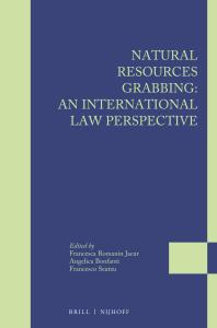 Natural Resources Grabbing: an International Law Perspective