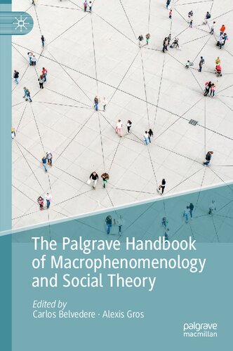 The Palgrave Handbook of Macrophenomenology and Social Theory