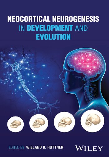 Neocortical Neurogenesis in Development and Evolution [Team-IRA]