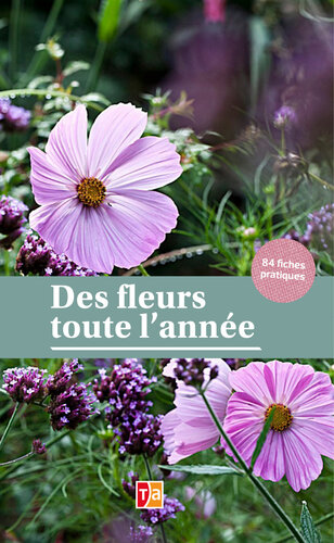 Des fleurs toute l’année