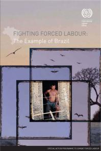 Fighting Forced Labour : The Example of Brazil