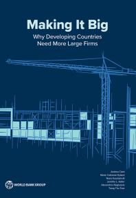 Making It Big : Why Developing Countries Need More Large Firms